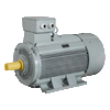 Single phase motor