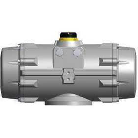 PT1000-S19-F