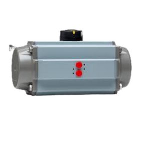 PT100-S12-L