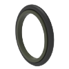 Wiper Seal WES500