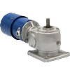Motors with worm gearbox