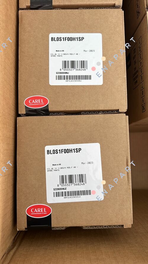 BL0S1F00H1SP цилиндар