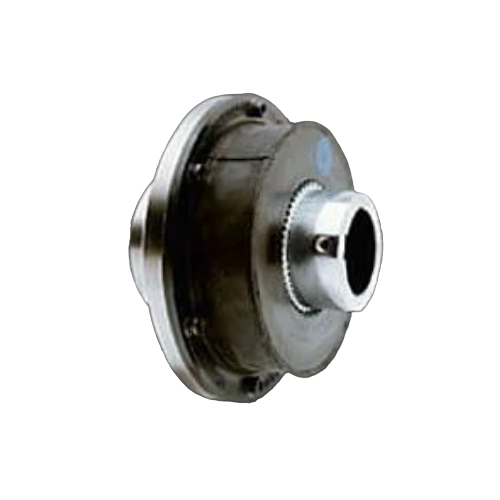 BoWex-ELASTICG65HE-ZST40670U