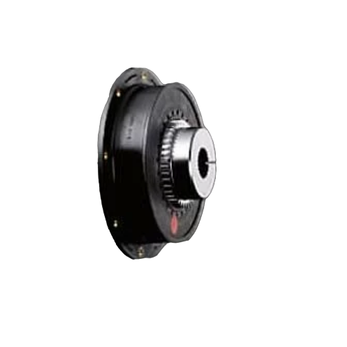 BoWex-ELASTIC100HE2T401070U