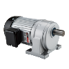 LH Horizontal Gear Motors