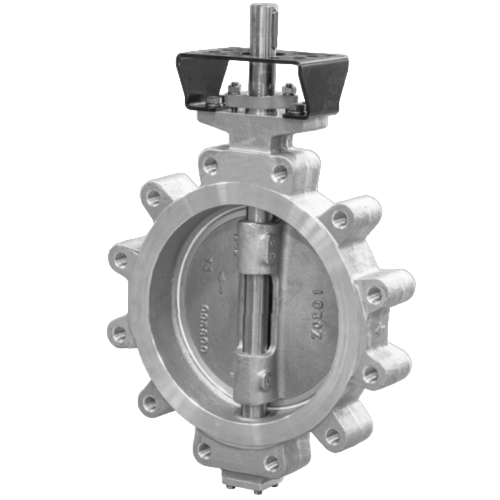 861 – CLASS 300 – ANSI LUG