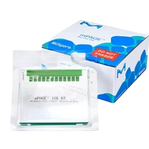 Protein Electrophoresis Gels & Buffers