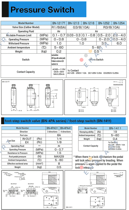 BN-1213-10 SWICTH