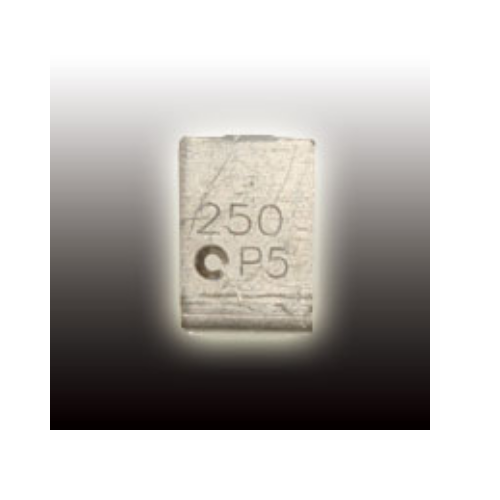 PRCP-SM100