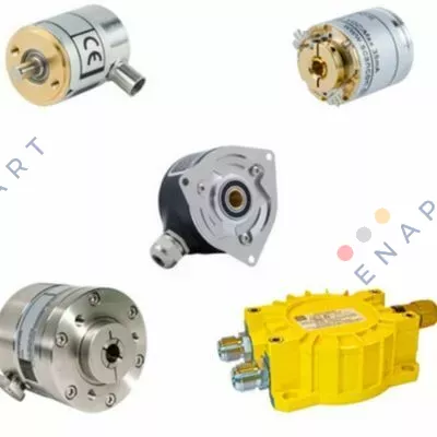 2R-250-D-06-65-COX-S  Инкрементална