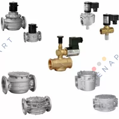 RG/2MCS DN 80/RCS090000 4XX2