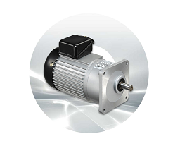 Luyang Gear Motor